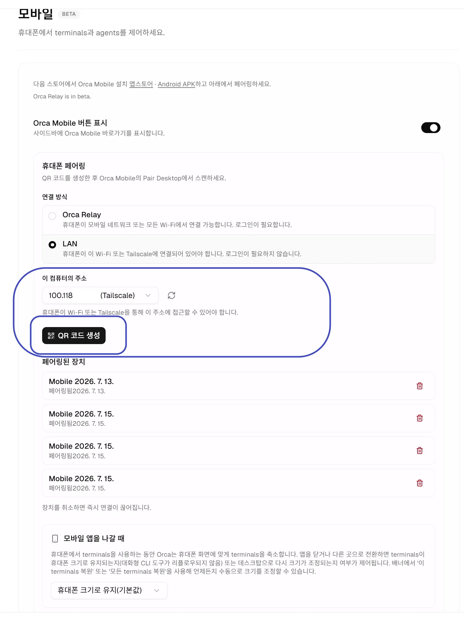 LAN과 Tailscale 주소 후 QR