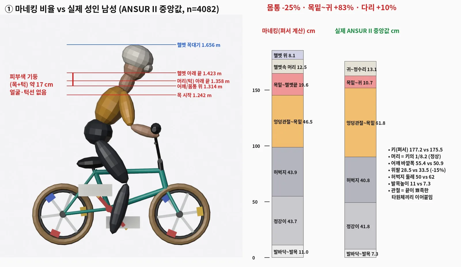마네킹을 곧게 폈을 때의 부위별 길이와 ANSUR II 남성 중앙값을 막대 두 개로 비교하고, 목과 턱 부위의 피부색 기둥을 빨간 선으로 표시한 그림
